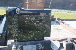 Flynn Michael Ballinfull